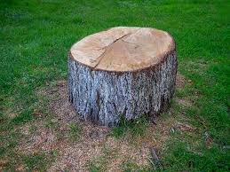 Best Commercial Tree Services  in Scenic Oaks, TX